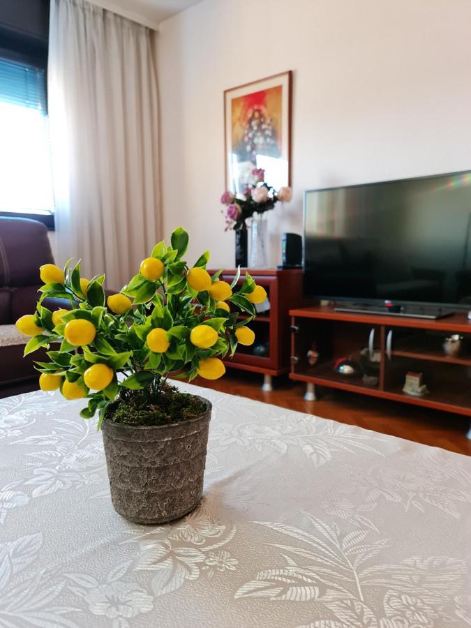 Family Apartment Ivanovic Skopje Ngoại thất bức ảnh